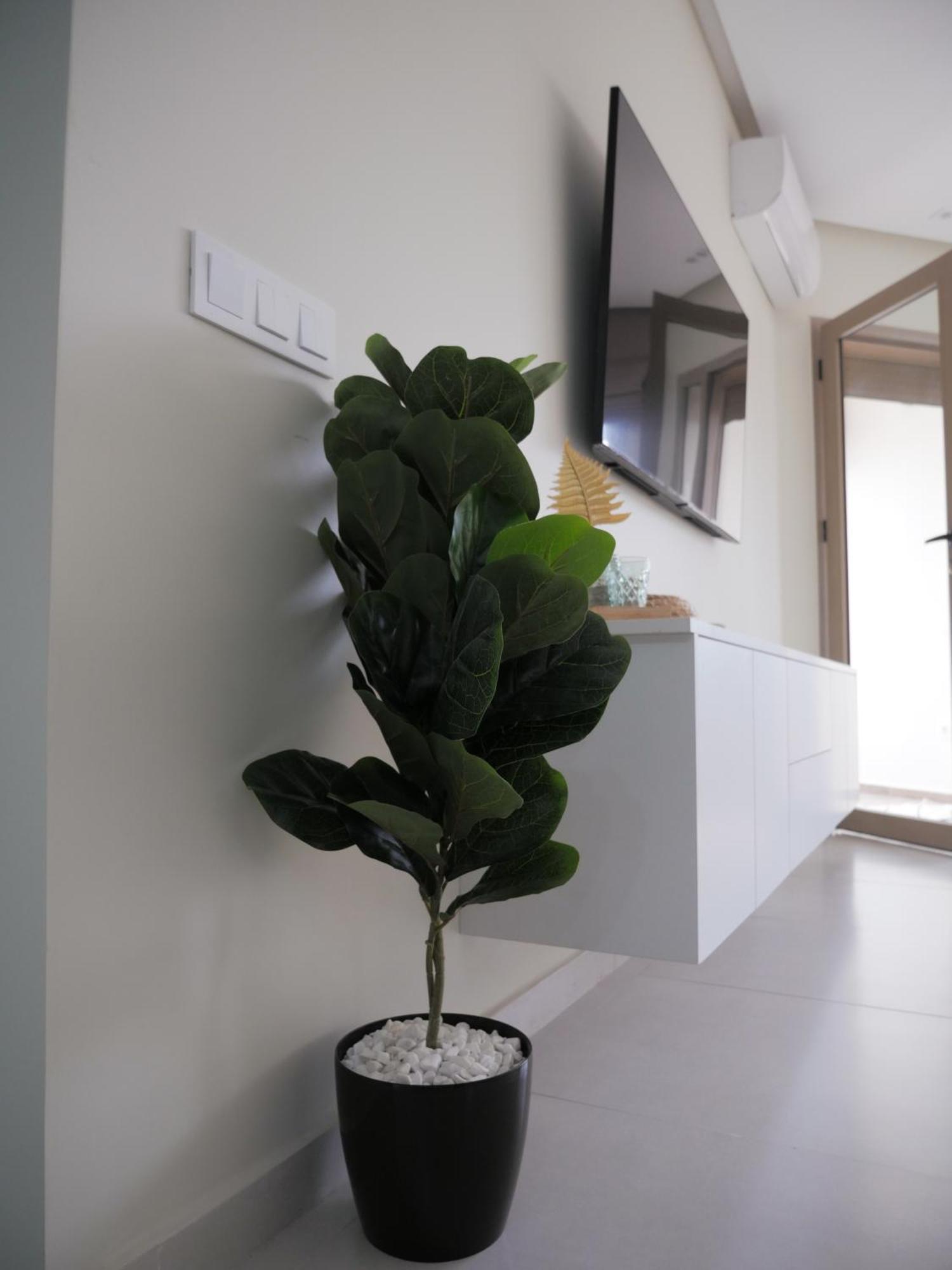 Appartement Vue Ocean アガディール エクステリア 写真